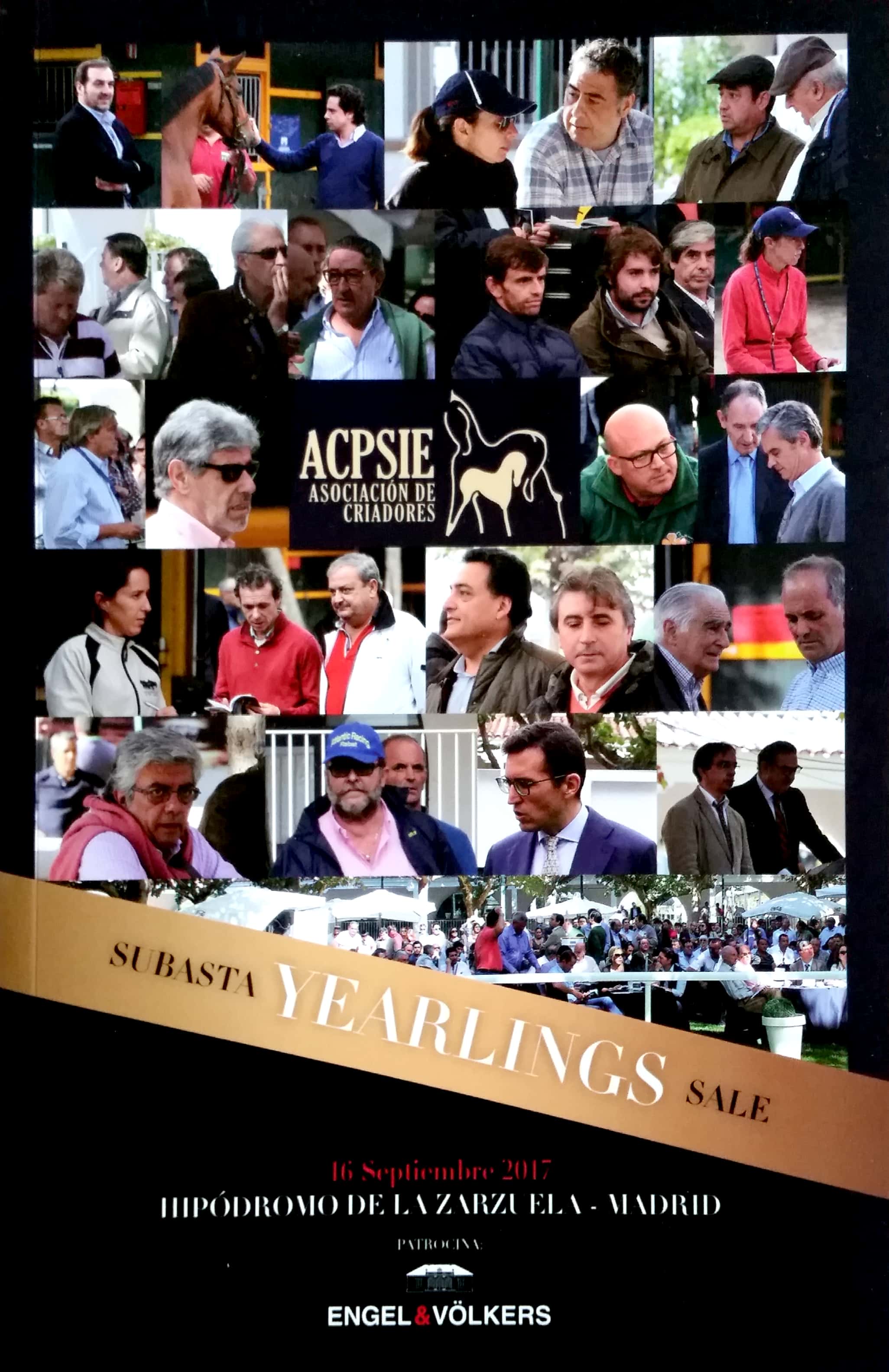 Catálogo subasta yearlings ACPSIE 2016
